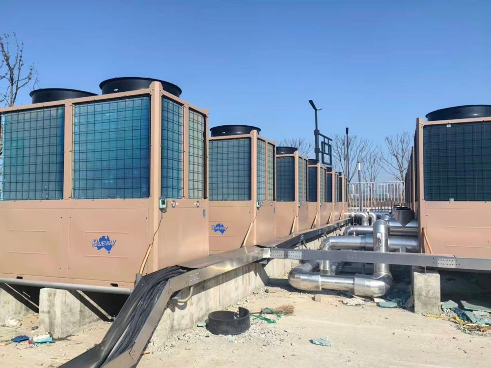 Large-Scale Sports Center Case Study: Wenzhou Gymnasium