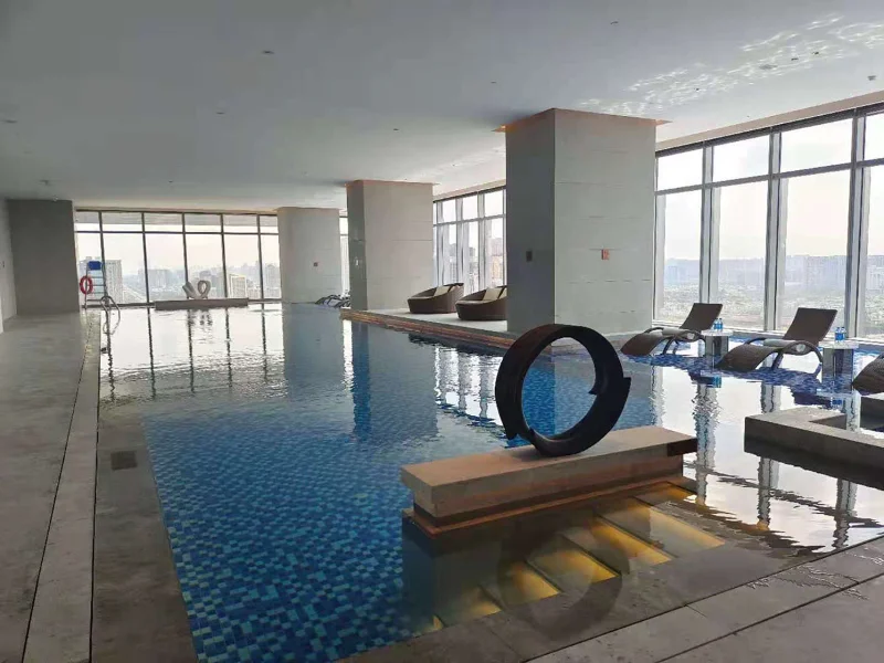 Technical Analysis and Supplier Selection Guide for Indoor Pool Dehumidification Heat Pumps